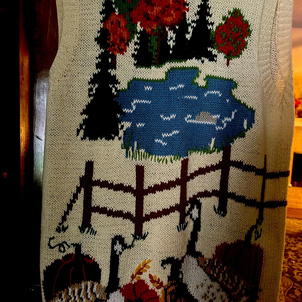 Design Options Cream Knit Sweater Vest
